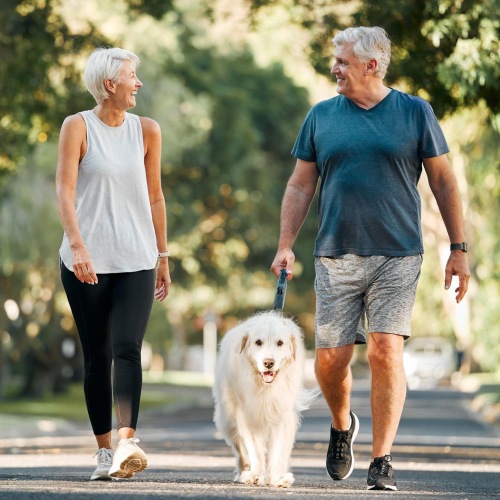 a couple walking their dog
